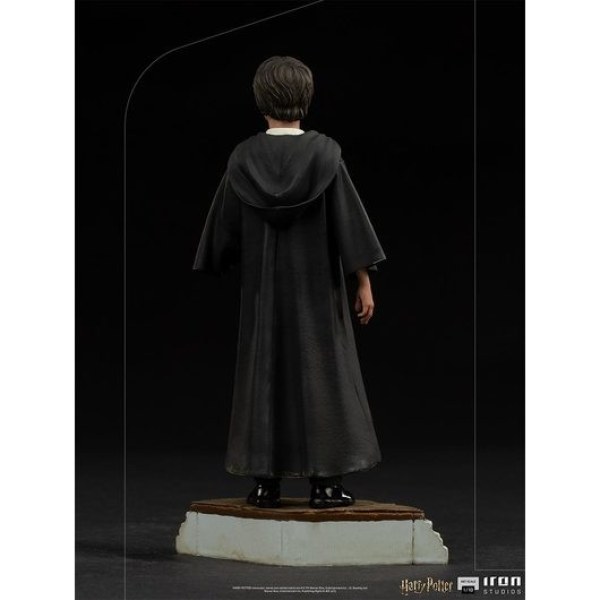 Harry Potter en de Steen der Wijzen Art Scale - Harry Potter