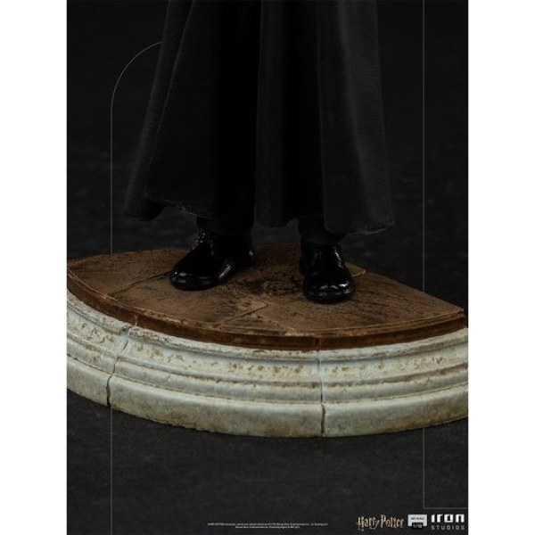 Harry Potter en de Steen der Wijzen Art Scale - Harry Potter