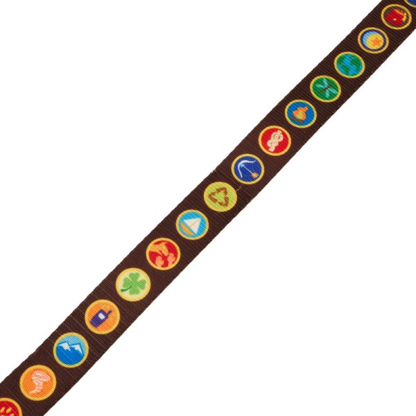 Explorer-badges aangelijnd UP 15e verjaardag - DISNEY LOUNGEFLY