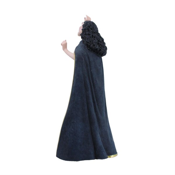 Mother Gothel 15e verjaardag - Disney Showcase Rapunzel
