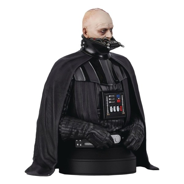 Buste Darth Vader (zonder helm) - Star Wars Episode VI