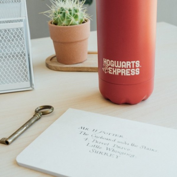 ISOTHERMISCHE METALEN FLES QUAI 9 3/4 - HARRY POTTER
