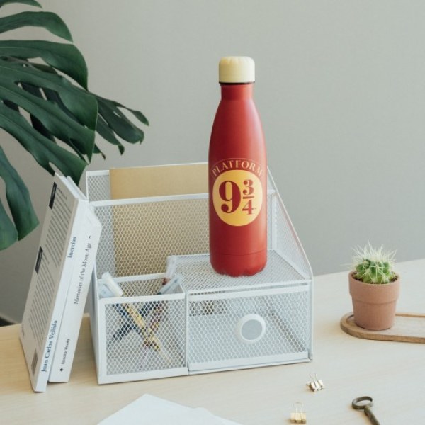 ISOTHERMISCHE METALEN FLES QUAI 9 3/4 - HARRY POTTER
