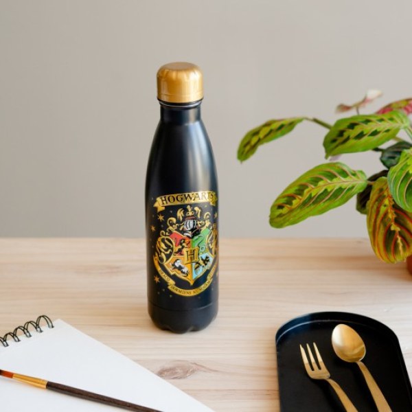 ISOTHERMISCHE METALEN FLES ZWEINWARTS - HARRY POTTER