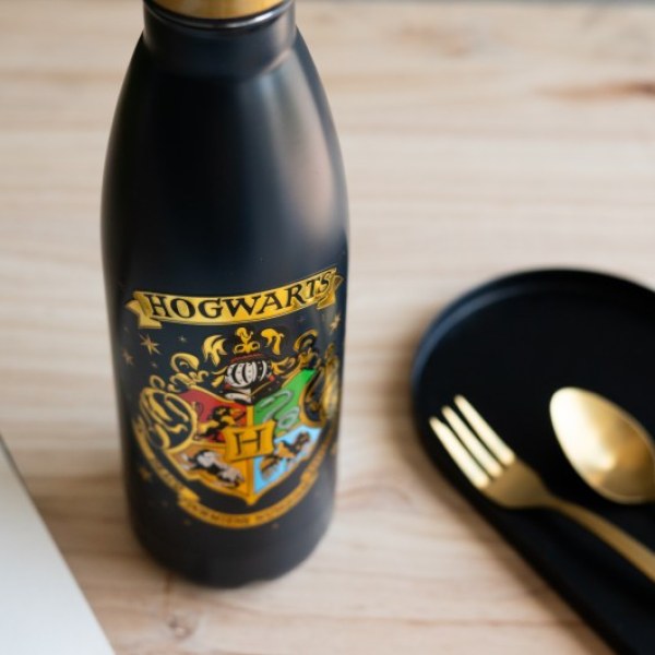 ISOTHERMISCHE METALEN FLES ZWEINWARTS - HARRY POTTER