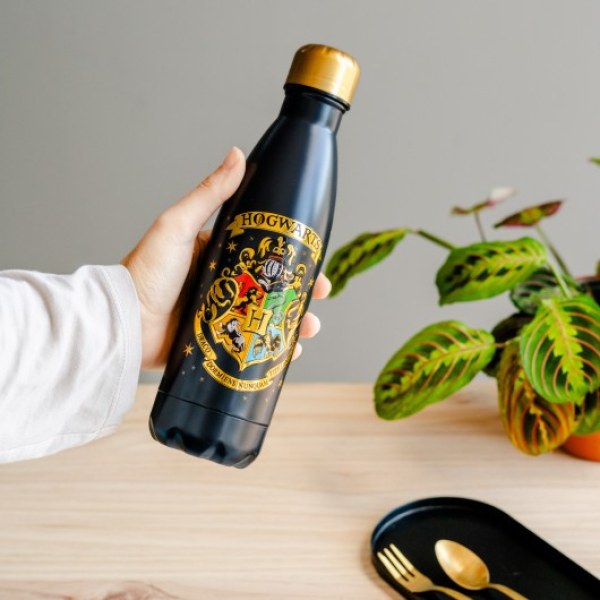 ISOTHERMISCHE METALEN FLES ZWEINWARTS - HARRY POTTER