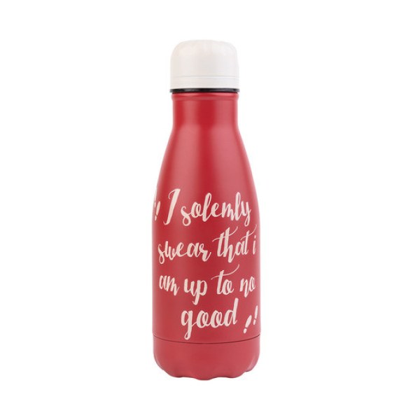ISOTHERMISCHE METALEN FLES - HARRY POTTER