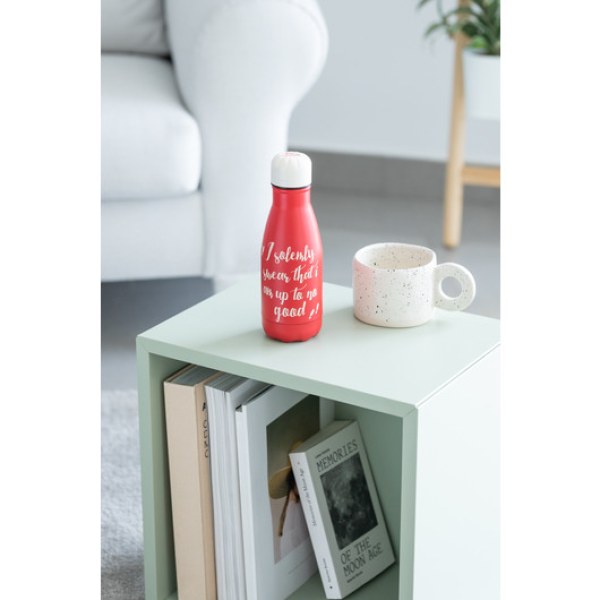 ISOTHERMISCHE METALEN FLES - HARRY POTTER
