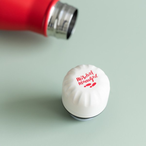 ISOTHERMISCHE METALEN FLES - HARRY POTTER