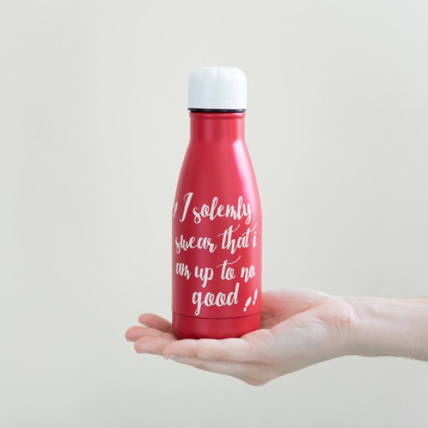ISOTHERMISCHE METALEN FLES - HARRY POTTER