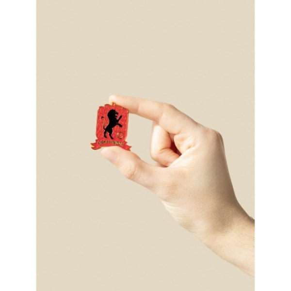 SET VAN 4 HOGWARTS HOUSE- PINS - HARRY POTTER