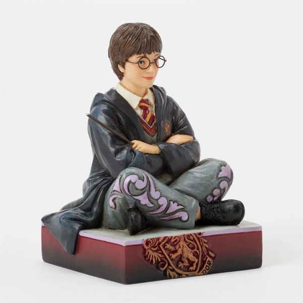 Harry Potter met toverstok - Harry Potter