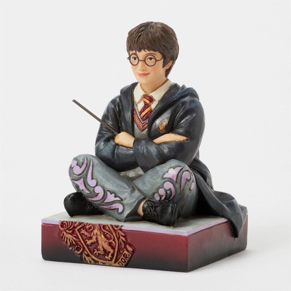 Harry Potter met toverstok - Harry Potter