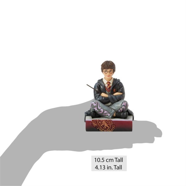 Harry Potter met toverstok - Harry Potter