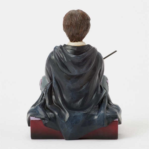 Harry Potter met toverstok - Harry Potter
