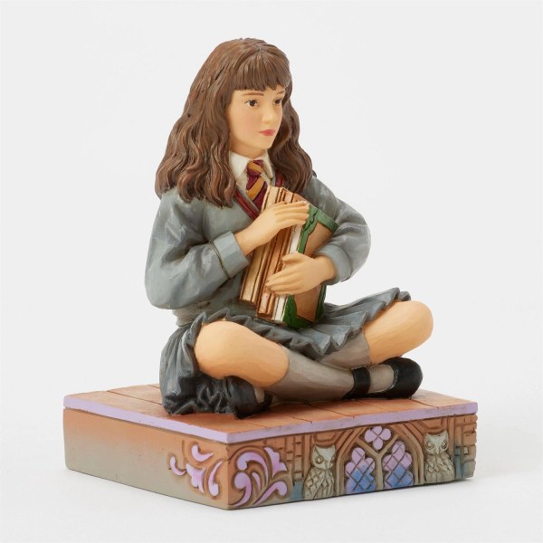 Hermelien met boeken - Harry Potter