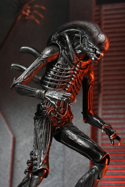 Alien: Romulus Ultimate Xenomorph beeldje XX121 18 cm