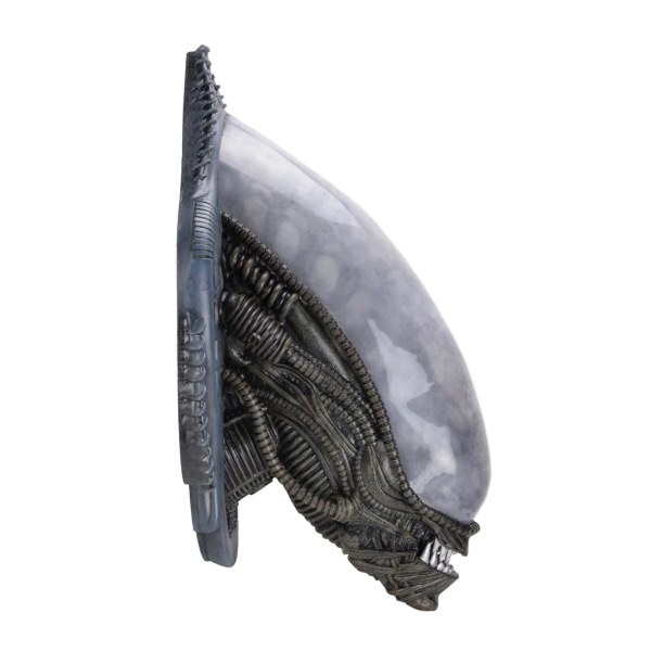 ALIEN - SCHUIM REPLICA - XENOMORPH BUSTE