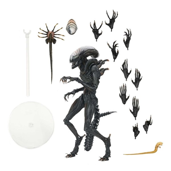 ALIEN: ROMULUS - 7" SCHAAL ACTIEFIGUUR - ULTIEME VERSCHROKKEN XENOMORPH