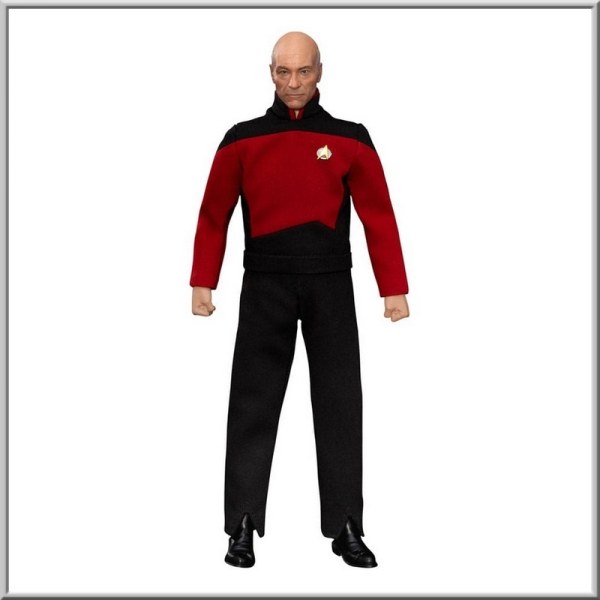 Star Trek: Generations Jean-Luc Picard 8-inch beeldje