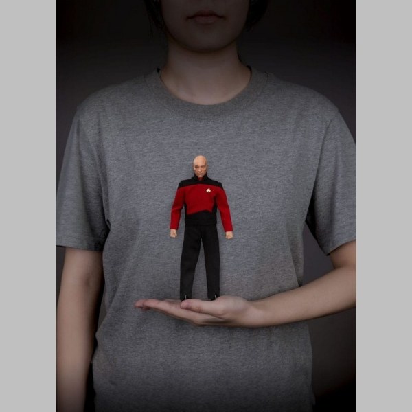 Star Trek: Generations Jean-Luc Picard 8-inch beeldje