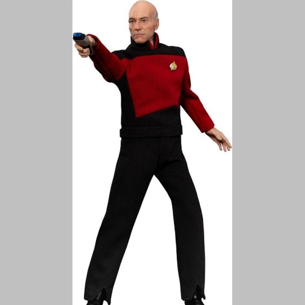 Star Trek: Generations Jean-Luc Picard 8-inch beeldje