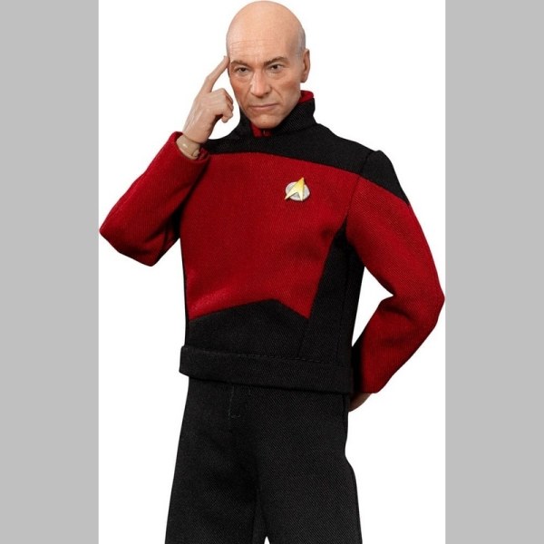 Star Trek: Generations Jean-Luc Picard 8-inch beeldje