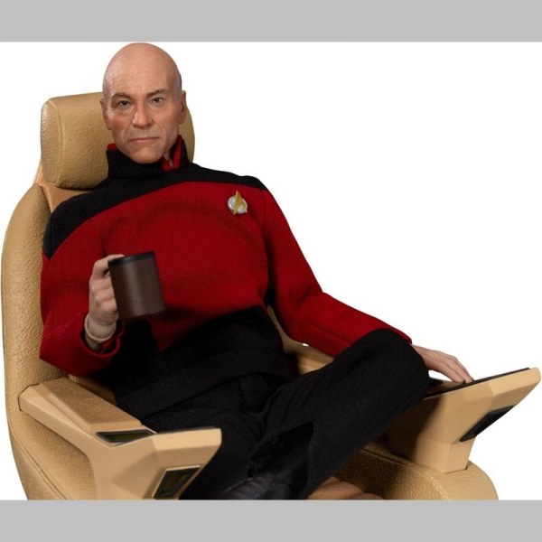 Star Trek: Generations Jean-Luc Picard 8-inch beeldje