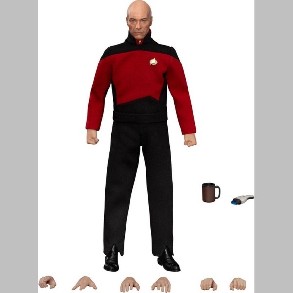 Star Trek: Generations Jean-Luc Picard 8-inch beeldje