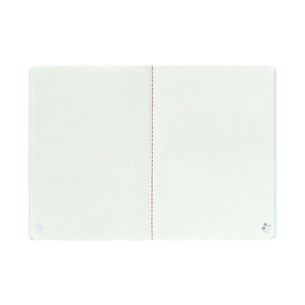 PAK VAN 3 A5 MICKEY MUIS NOTITIEBOEKEN 100-JARIG JUBILEUM - DISNEY