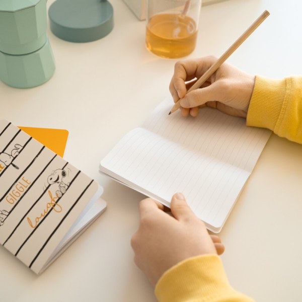 PAKKET VOOR LUIE DAGEN: 3 A6-NOTITIEBOEKEN - PEANUTS