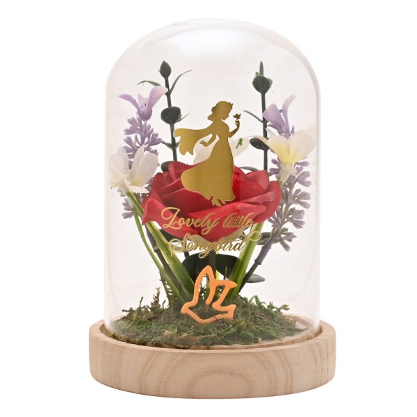 Decoratieve en verlichte Sneeuwwitje -stolp - Disney Pastel Princess