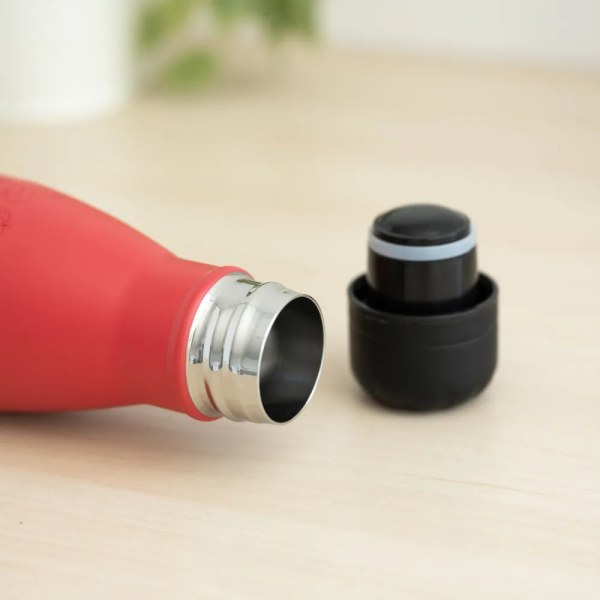 Geïsoleerde metalen fles (260 ml) voor warme en koude dranken - Sesamstraat