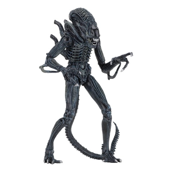 ALIEN - 7" ACTIEFIGUUR - ULTIMATE ALIENS WARRIOR 1986 (BLAUW)