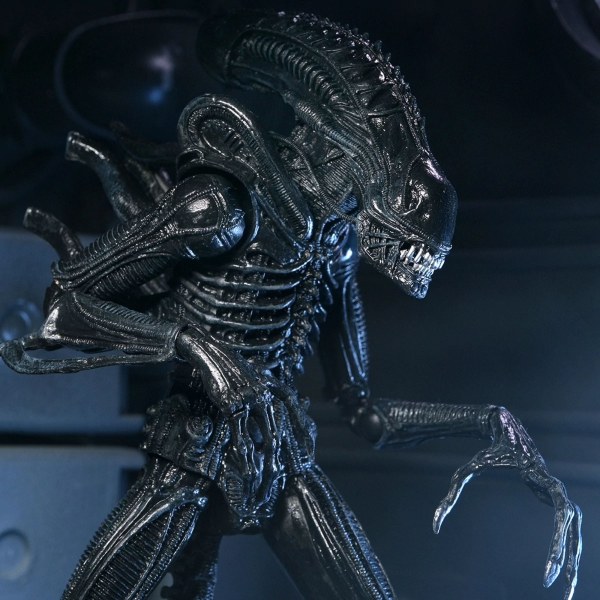 ALIENS - 7" SCHAAL ACTIEFIGUUR - 40E VERJAARDAG ULTIMATE WARRIOR XENOMORPH (ZWART)