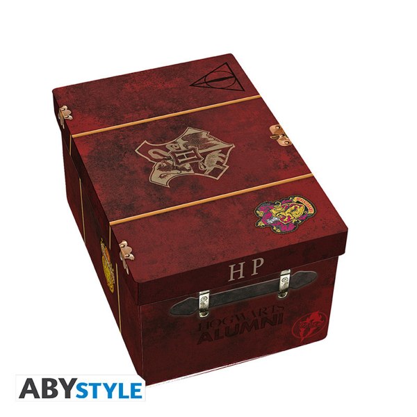 HARRY POTTER - Premium pakket 3D Mok + 3D Sleutelhanger + Hogwarts Koffer Pin