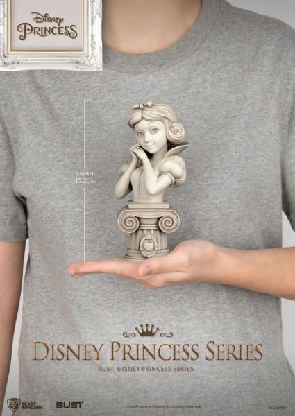 BUSTE VAN ASSEPOESTER - DISNEY PRINSES-SERIE