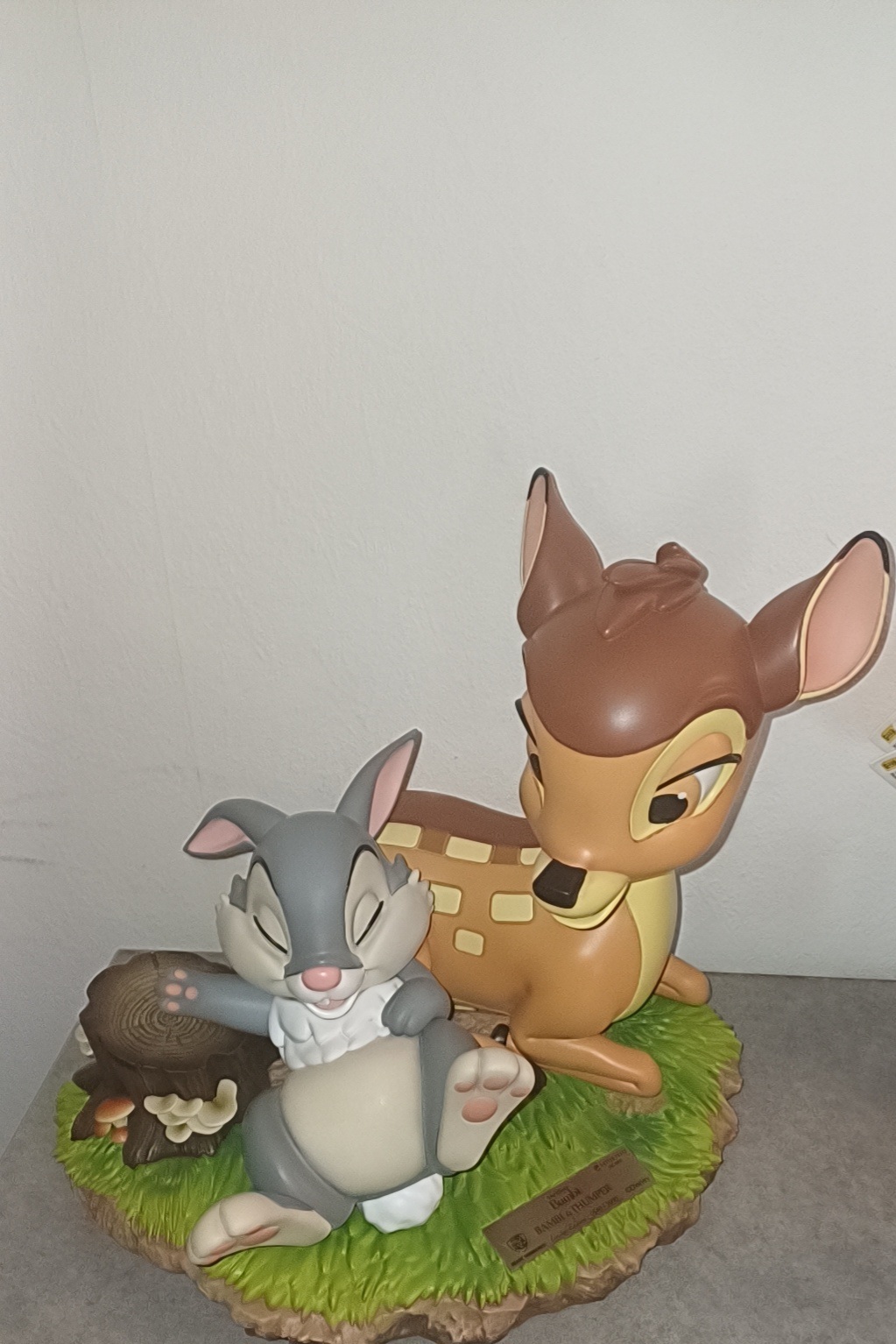 Foto klant
