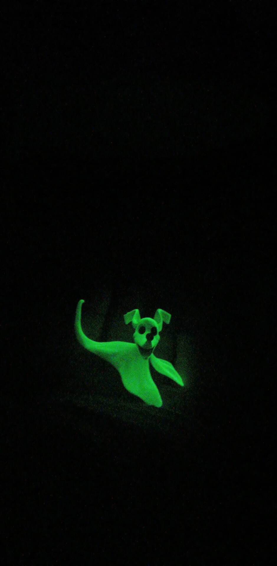 Foto klant