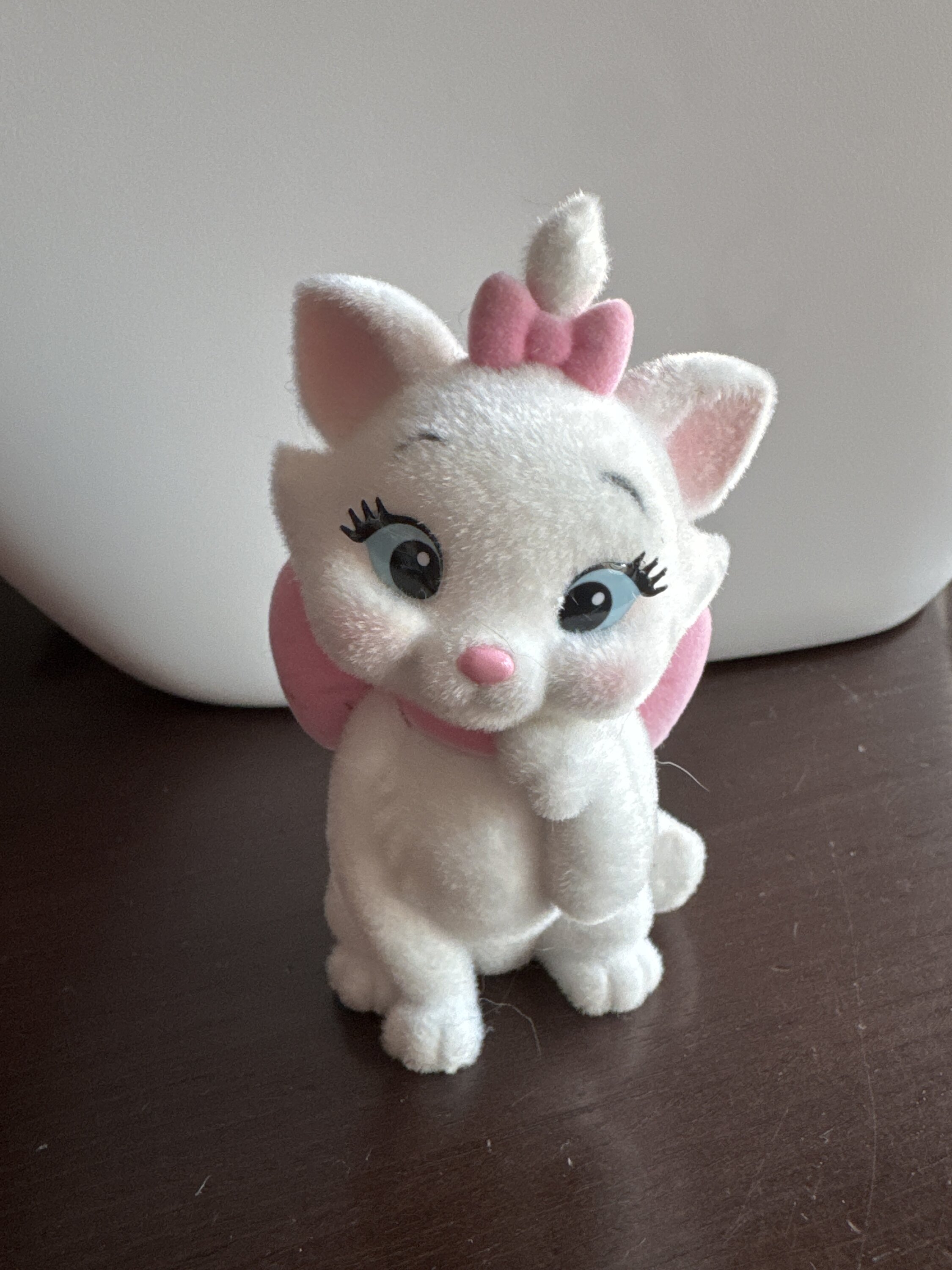 Foto klant