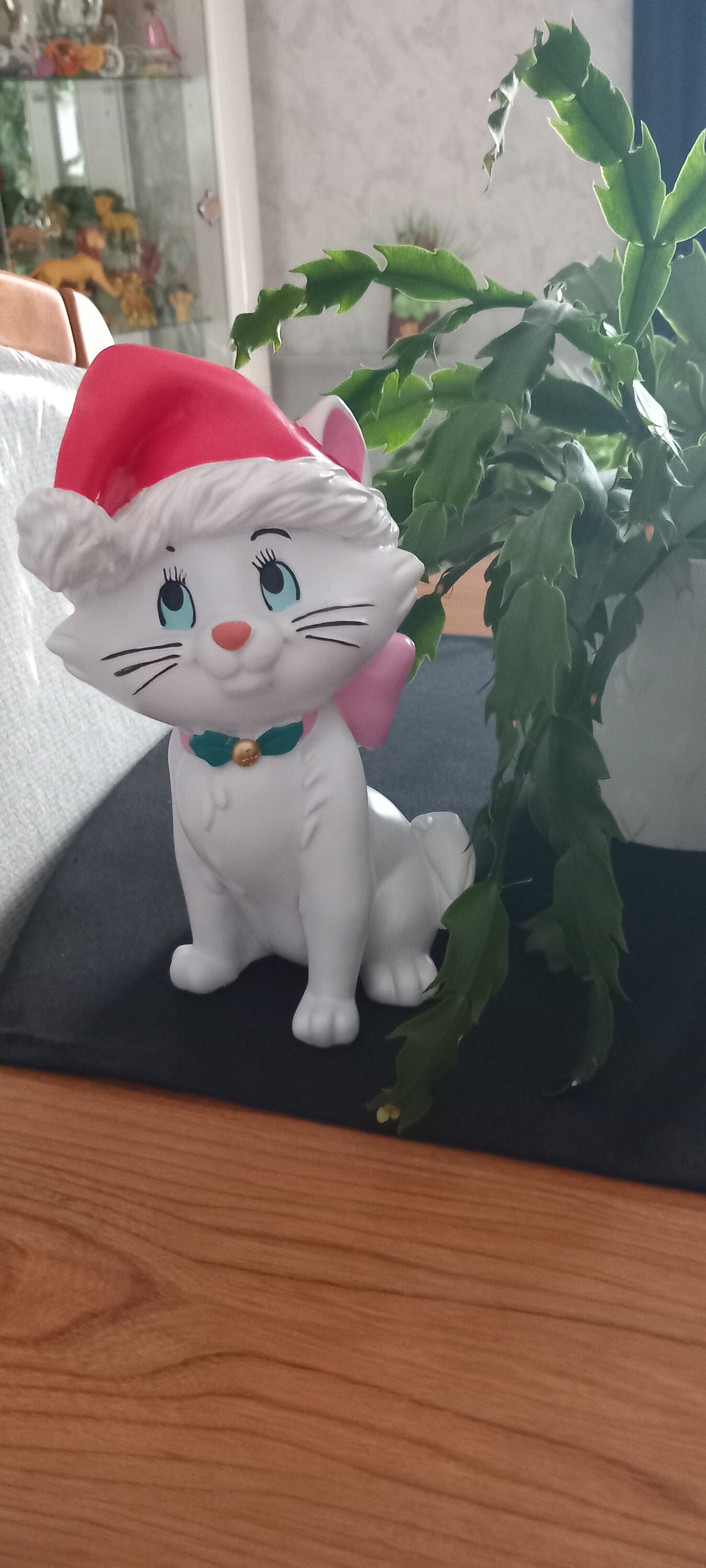 Foto klant