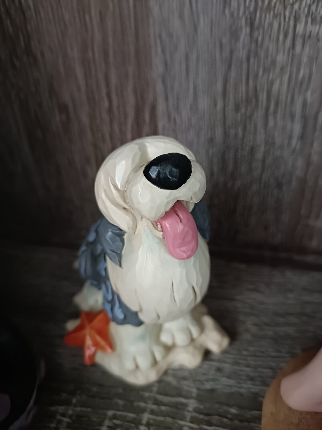 Foto klant