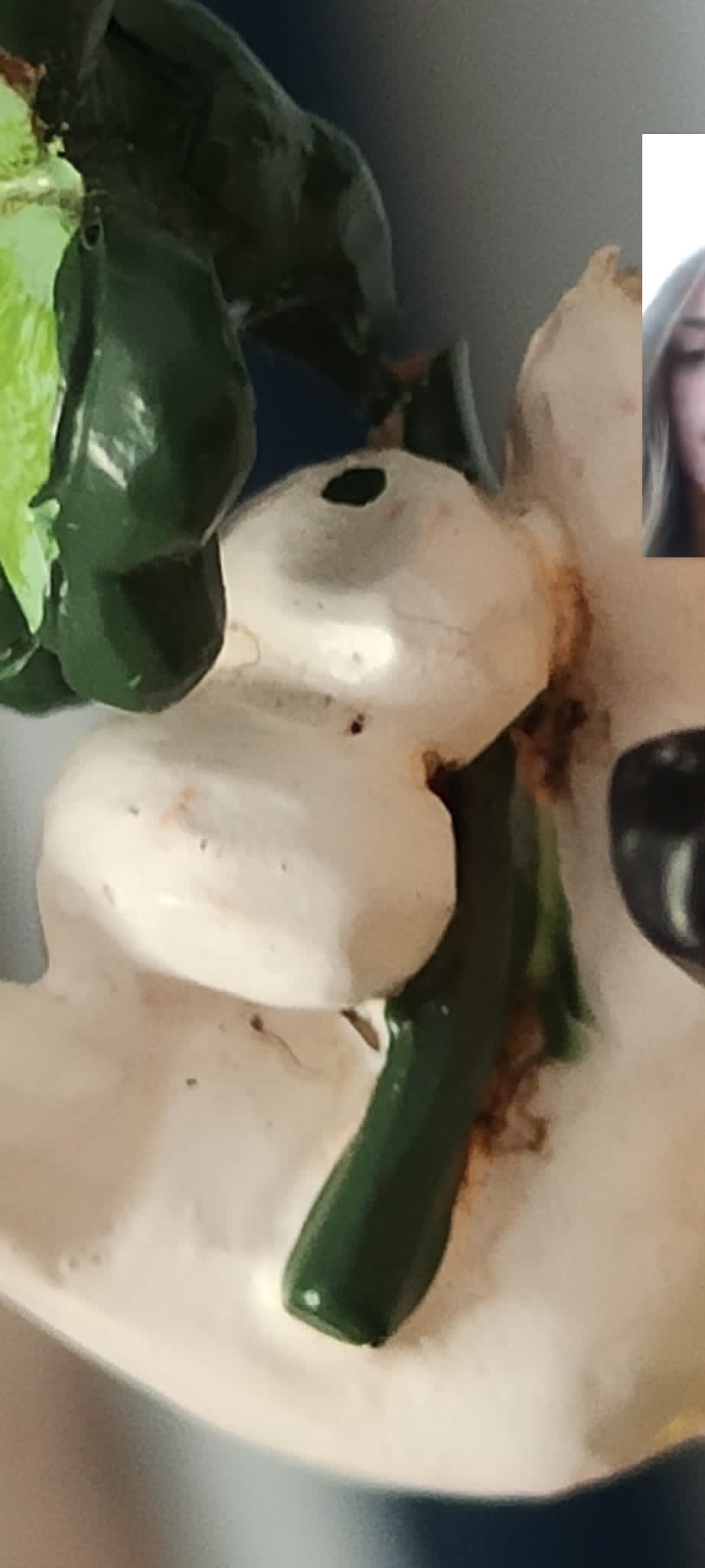 Foto klant