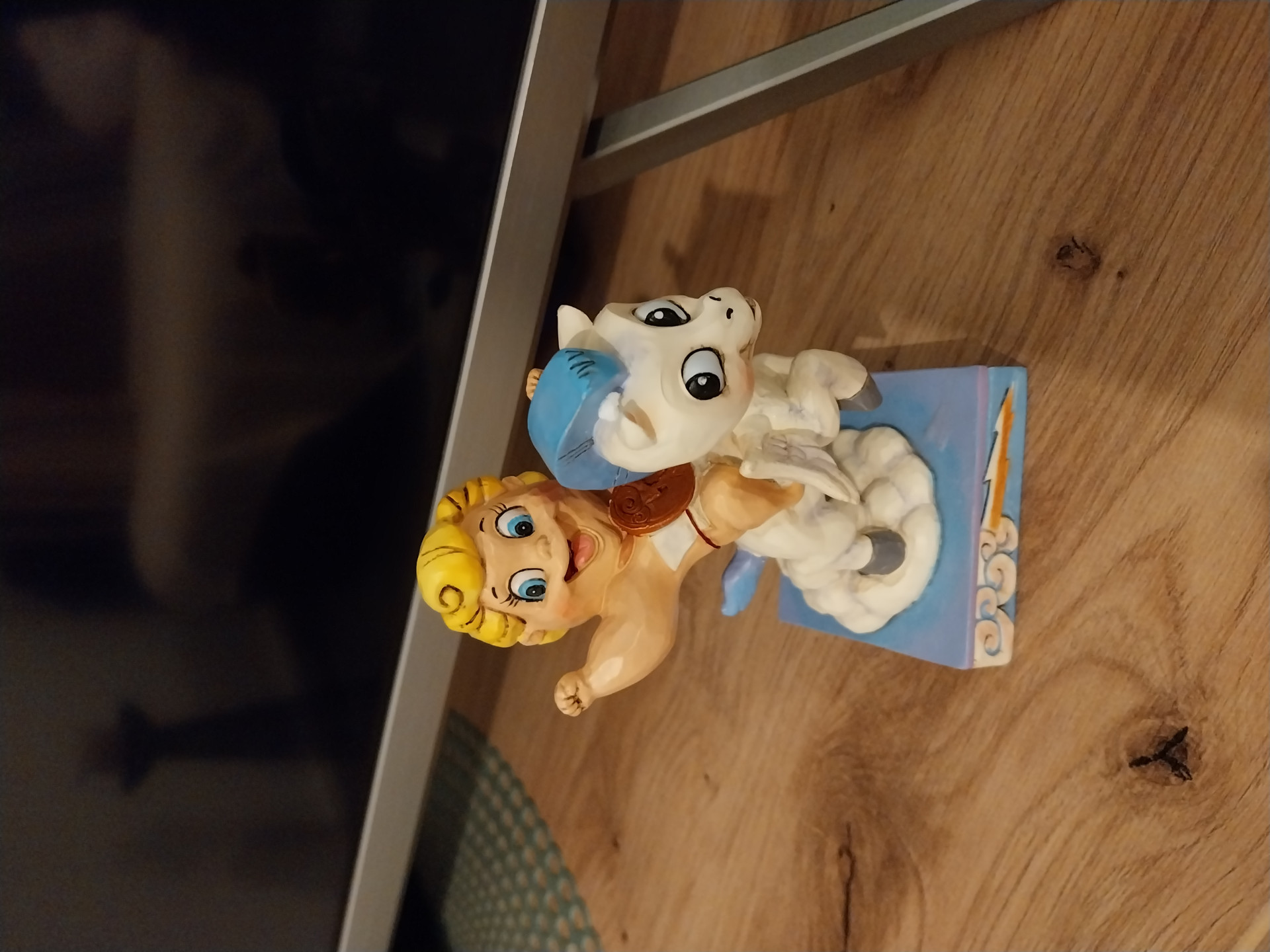 Foto klant