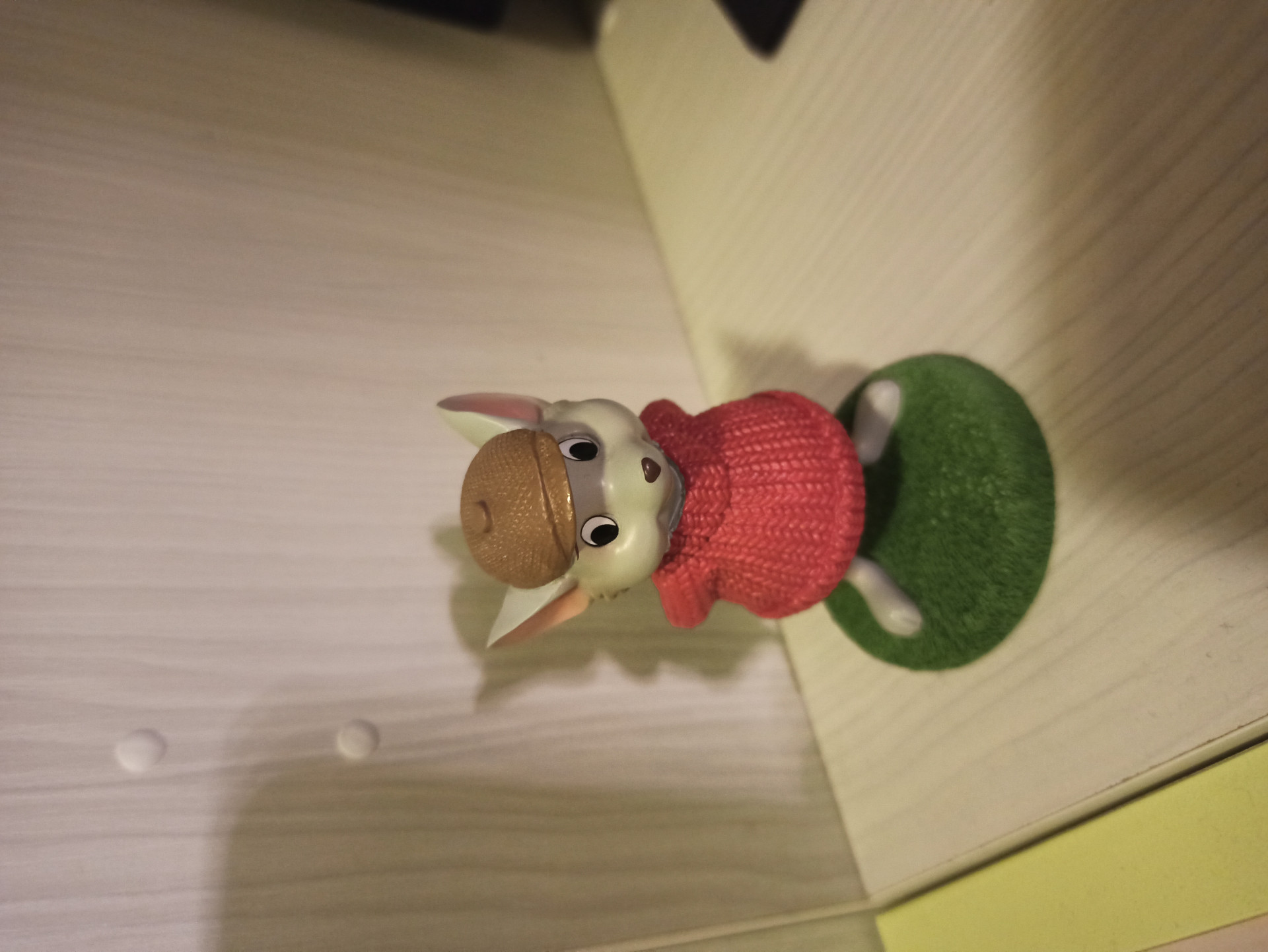 Foto klant