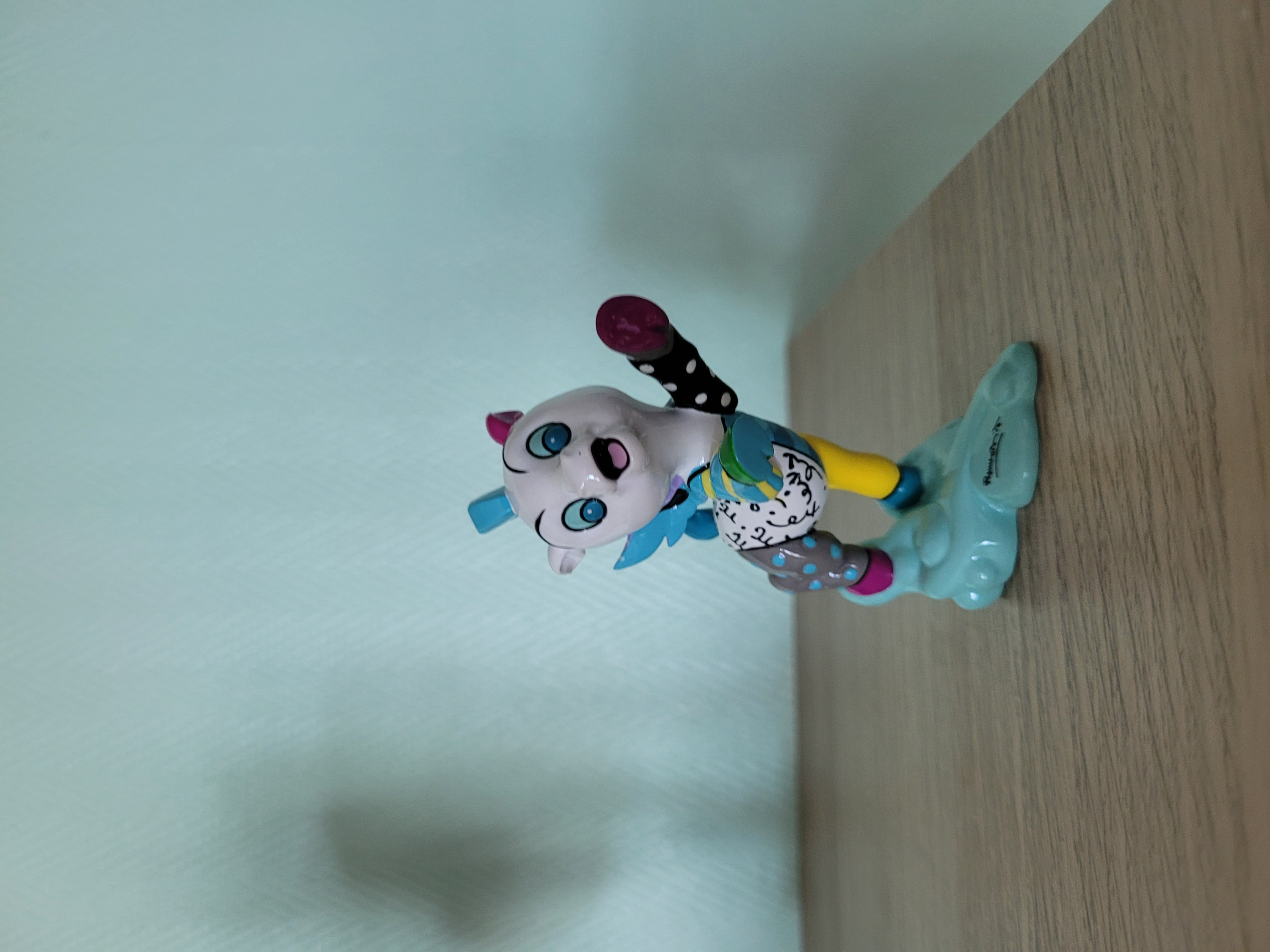 Foto klant