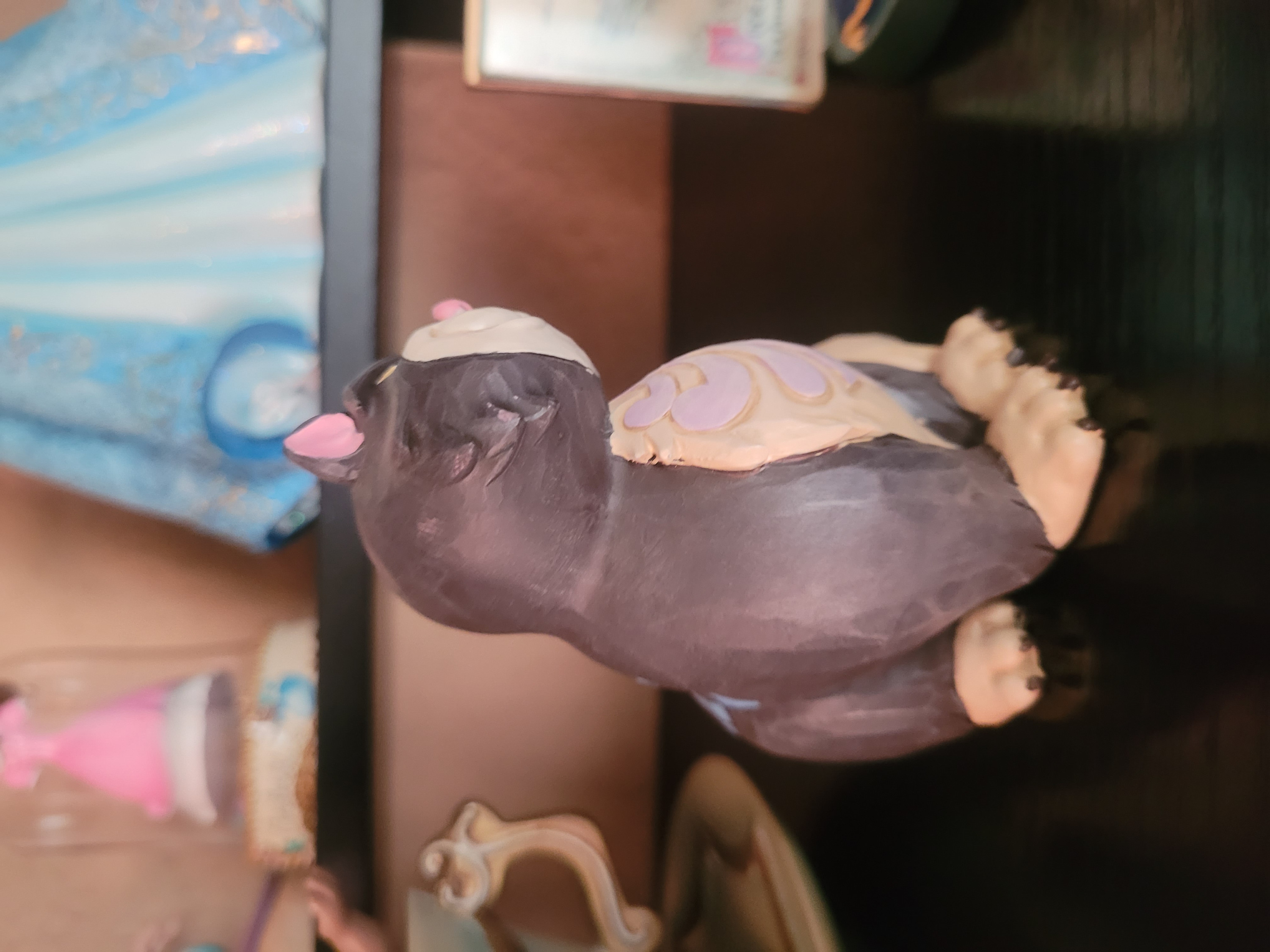Foto klant