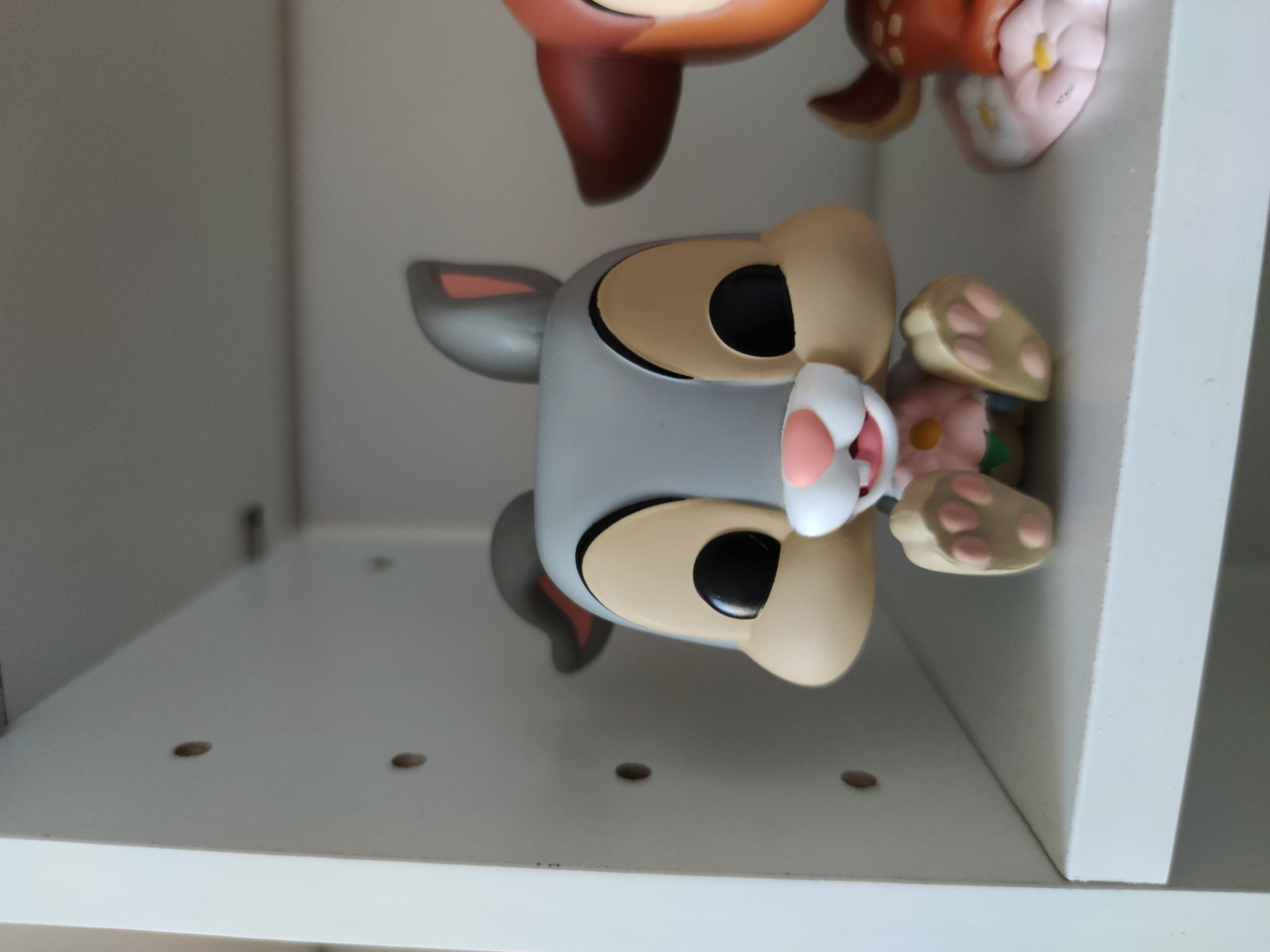 Foto klant